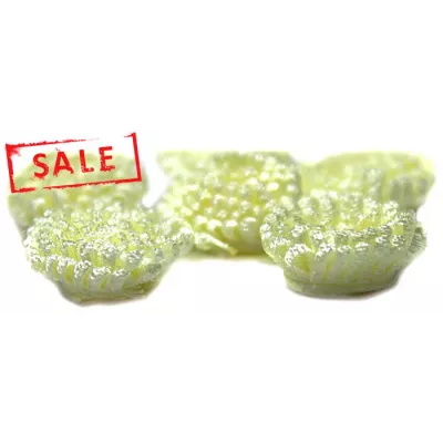 Аплікація айстра